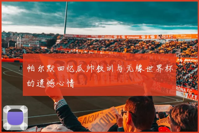 帕尔默回忆瓜帅教训与无缘世界杯的遗憾心情