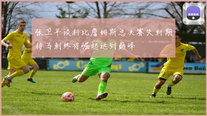 张卫平谈科比詹姆斯总决赛失利期待马刺终将崛起达到巅峰